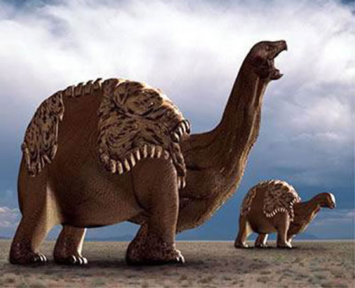 加拉帕戈斯象龟价格_亚达伯拉象龟_加拉帕戈